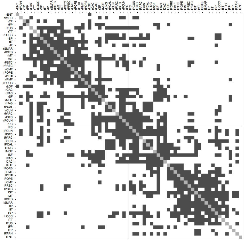 Connection Matrix