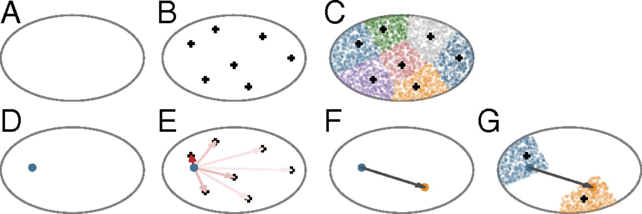 Connection Model